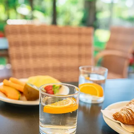 Horizonte Бибионе