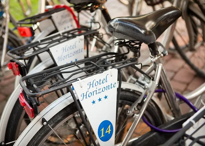 Отель Horizonte